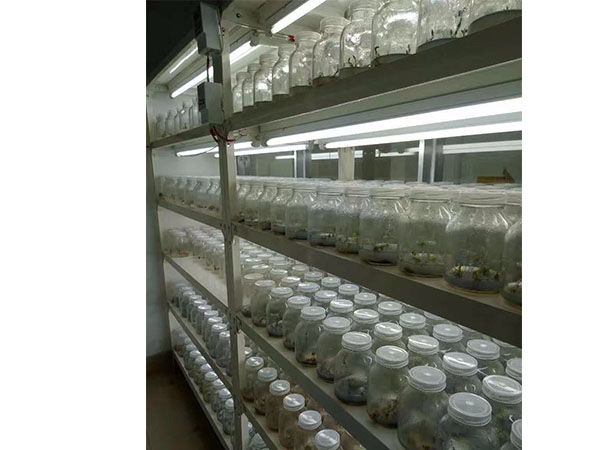 哔咔漫画APP官网进入设备