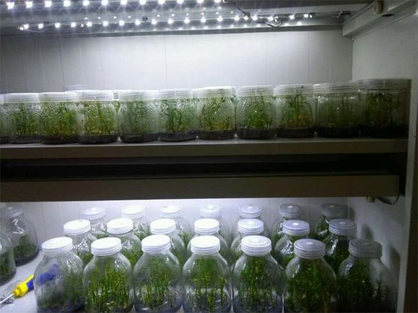 哔咔漫画APP官网进入室建设